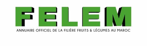 FELEM Logo